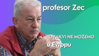 Ovakvi ne možemo u Evropu  profesor Zec [upl. by Bronny]