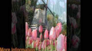 Heartland Tours and Travel  Pella Iowa Tulip Time Tour [upl. by Fatsug]