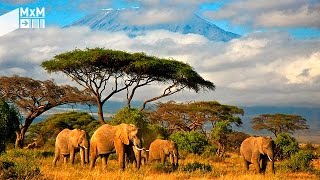 Madrileños por el mundo Tanzania un país que anima a la aventura [upl. by Odarnoc127]