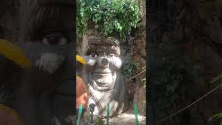 Talking tree India nainitaal youtubeshorts travel [upl. by Ativ459]