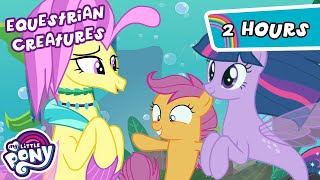 Discover the Creatures of Equestria🐉🦓🧜‍♀️  2 HOUR  My Little Pony Friendship is Magic [upl. by Alisun]