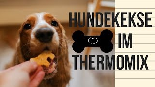 Hundekekse Grundrezept  mit und ohne Thermomix [upl. by Keary]