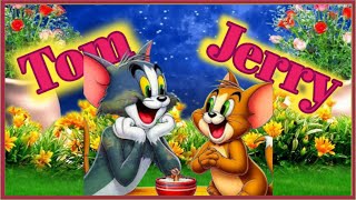 Tom amp Jerry টমের উড়ুক্কু ঝারণ লাঠি Tom amp Jerry bangla cartoon video Kids CoColand [upl. by Kirkwood]