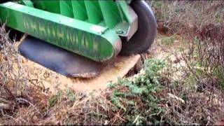 Stump grinding by Arbormax Tree service [upl. by Coretta648]