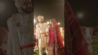 Bride groom entry song wedding weddingdance weddingphotography shaadi youtubeshorts bridegroom [upl. by Lokin]