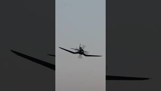 Chance Vought F4U4 Corsair shorts warbirds aviation [upl. by Vivie]