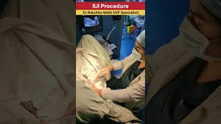 IUI Procedure  intrauterine insemination procedure  by Dr Rakshita Malik ivfcenter iuitreatment [upl. by Grosmark360]