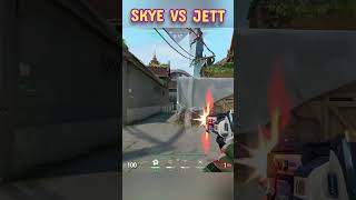 VALORANT Funniest SKYE vs JETT [upl. by Begga]