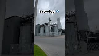 Finally made it to Brewdog 🏴󠁧󠁢󠁳󠁣󠁴󠁿 brewdog scotland [upl. by Duster]