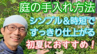 【庭の手入れ方法】できるだけ楽に時間をかけず綺麗にするには？2023年初夏⌛🌿 [upl. by Geri]