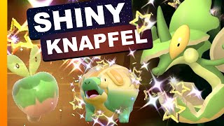 Beste Methode SHINY Knapfel zu farmen [upl. by Castara]