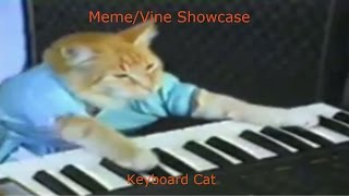 KEYBOARD CAT  MemeVine Showcase [upl. by Berky205]