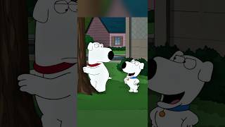 Brian Was Thrown Out Onto The Street familyguy funny shorts [upl. by Samaria]