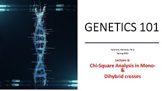 Analysis of multiple genes Dihybrid Cross ChiSquare [upl. by Aivonas936]