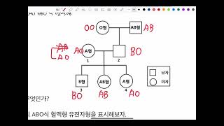 2024 생명과학1 2학기 11차시 가계도 해석 사람의 유전병 염색체 돌연변이 [upl. by Kiyoshi]