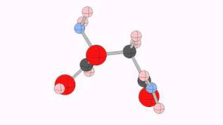 asparagine [upl. by Tterraj]