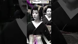 History Of Geishas part 4 👘⛩️ Wonderful Of Japan ✨⛩️ maiko geisha geiko ✨❣️ [upl. by Atews]