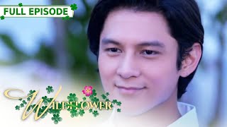 ENG SUB Ep 252  Wildflower  Maja Salvador Tirso Cruz III Aiko Melendez [upl. by Zaid]