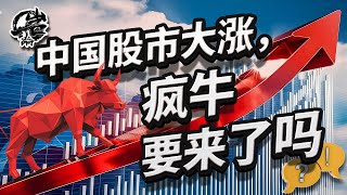 第454期：中国股市大涨，疯牛要来了吗？｜【岩论】 [upl. by Ardeed68]