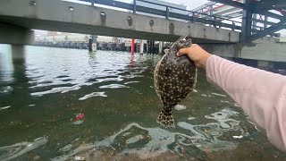 flounder fishing the flounder run Galveston Tx [upl. by Allerie120]