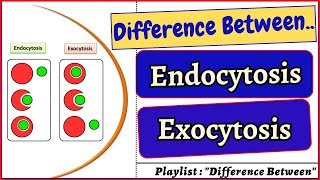 Difference between Endocytosis and Exocytosis cell cells biology bivkedar [upl. by Nadeau]