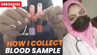 How i collect blood sample  iRishabhSaab the nurse anila shahzadi [upl. by Nemzzaj822]