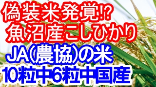 驚愕の結果「JAの米」に産地偽装の疑い…10粒中6粒中国産！？ [upl. by Jilly]