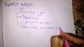 Tryptophan metabolism  kynurenine pathway [upl. by Morey]