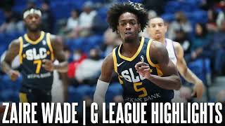 Zaire Wade G League Highlights ᴴᴰ [upl. by Lovich979]