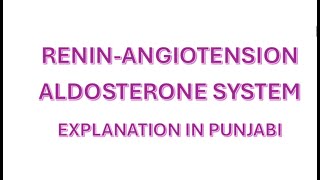 RENINANGIOTENSIN ALDOSTERONE SYSTEM NCLEX rn rpn nurse [upl. by Ataliah954]