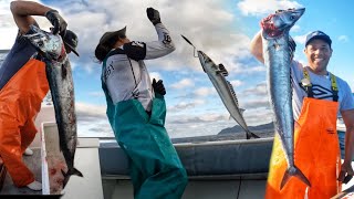 Snoek fishing in Buffels Bay Cape Point [upl. by Eixam]