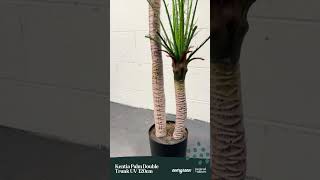 Kentia Palm Double Trunk UV 120cm  artificial plant artificialplants diy greenwall [upl. by Adiam536]