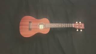 The FourStringed Ukulele [upl. by Nikolaos528]