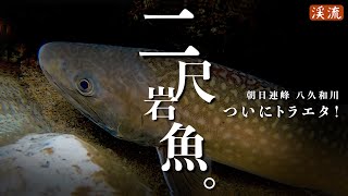 【渓流釣り】ついにとらえた！”２尺”イワナ／八久和川、国内最大級の源流へ～5日間の全記録。 [upl. by Yankee274]