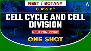 CELL CYCLE AND CELL DIVISION ONE SHOT  NEUTRON PRIME BATCH NEET 2024  BOTANY BY SANKALP BHARAT [upl. by Oigolue]