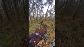 Freshly dug turns ❤️ eastridge woods  Shropshire MTB  orbea Rallon  insta 360 [upl. by Lebama]