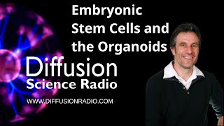 Embryonic Stem Cells and the Organoids [upl. by Ylyl]