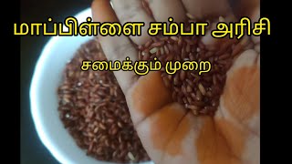 How to cook Mappillai samba rice  Mappillai samba rice Puttu [upl. by Engen]