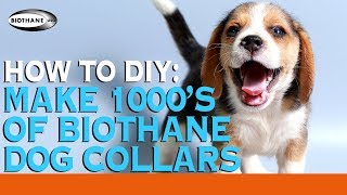 How To Make 1000 BioThane Dog Collars [upl. by Asimaj]