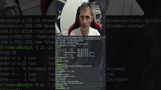 Comando apt Debian Ubuntu Mint y derivadas en GNU Linux drivemeca on Twitch opensource [upl. by Leta622]