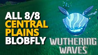 All Central Plains Blobfly Wuthering Waves [upl. by Rairb]