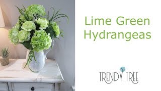 Lime Hydrangeas [upl. by Ihcalam885]