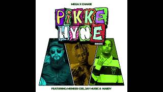 meneer cee  pikkewyn remix ft mega 2024 [upl. by Gnal]