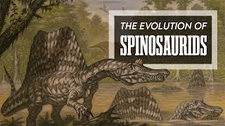 The Evolution of Spinosauridae [upl. by Thalia857]