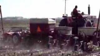 IH 766 and 800 Cyclo Planting Corn [upl. by Herbie204]