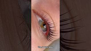 Eyelash extension and tinting✨ No need to apply mascara permanentmakeup eyelashlift eyelashes [upl. by Prager11]