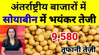 17 अक्टूबर 2024 aaj ka soybean bhav soyabean ka bhav soya ka rate soybean mandi bhavsoya plant [upl. by Fulmis157]