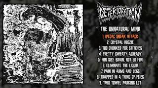 Deterioration  The Unnatural Mind FULL ALBUM 2019  Grindcore [upl. by Tecu]