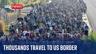 United States 8000 migrants travel to southern border as election looms [upl. by Bruyn]