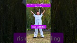 raising and falling jincheng kungfu martialarts qigong [upl. by Aiem]